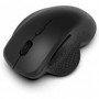 Philips spk7624 wireless mouse  technical specifications • product type: wireless