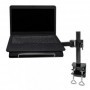 Neomounts by newstar notebook-d100 laptop desk mount  specifications general min.