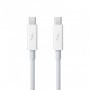 Apple thunderbolt cable (0.5 m)