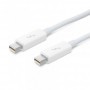 Apple thunderbolt cable (0.5 m)