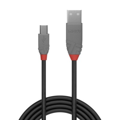 Cablu lindy 2m usb 2.0 type a to mini-b anthra