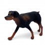 Caine Dobermann figurina 10 cm