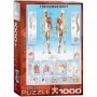 Puzzle 1000 piese The Human Body