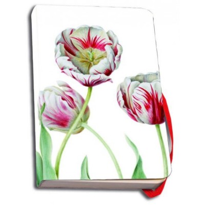 Carnet notite 112 pagini banda elastic Tulipa 'Teyler'