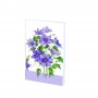 Carnet notite A7 Clematis 'Konigskind' A