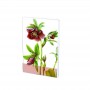 Carnet notite A7 Helleborus