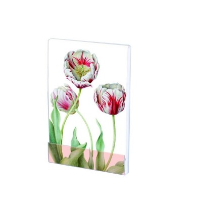 Carnet notite A7 Tulipa 'Teyler'