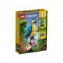 Papagal exotic 3in1 lego 31136