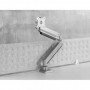 Nm select monitor desk clamp 10-49 sil